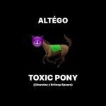 Download : Britney Spears x Ginuwine x Altégo - Toxic Pony Mp4/Mp3 Lyrics