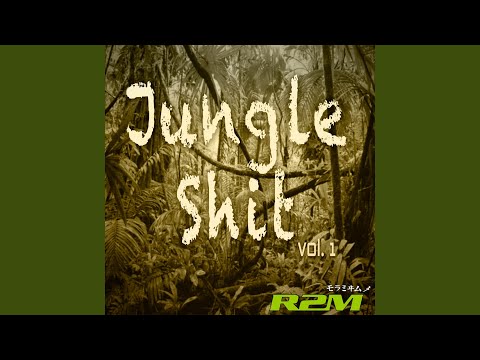 Jungle Shit – Hotel Califorina Mp3/Mp4 Download