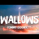 Tommy Docherty - WALLOWS Mp3 Download & Lyrics