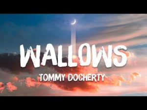 Tommy Docherty - WALLOWS Mp3 Download & Lyrics