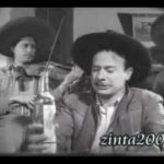 pedro infante: me canse de rogarle Mp3 Download & Letra