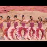 Janelle Monáe - PYNK Mp3 Download/Video & Lyrics