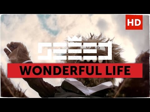 Seeed – Wonderful Life Mp3 Download/Video & Lyrics