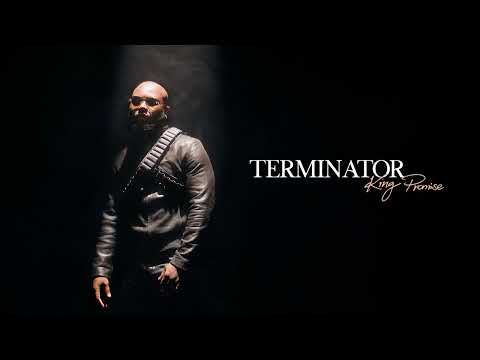 King Promise - Terminator Mp3/Mp4 Download & Lyrics