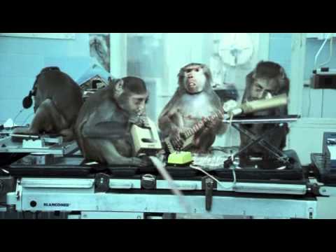 Basement Jaxx - Where's Your Head At Mp3 Free Download